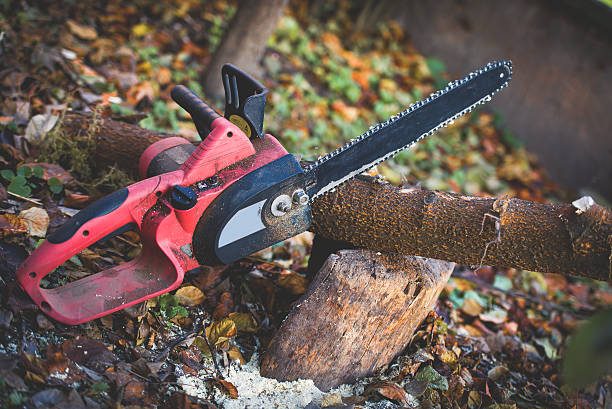 Best Seasonal Cleanup (Spring/Fall)  in Haddon Heights, NJ